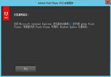 Windows Server 2016、2019顯示啟用Flash